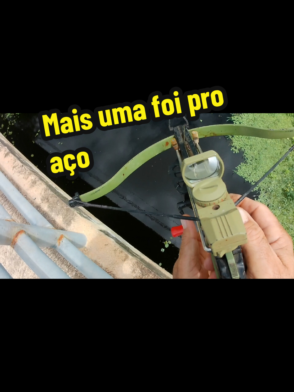 @Joildo Araujo