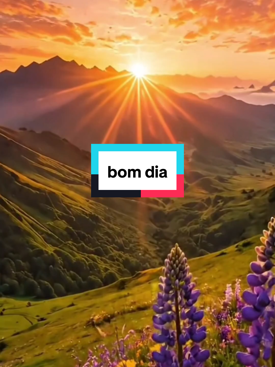 @frases e motivação