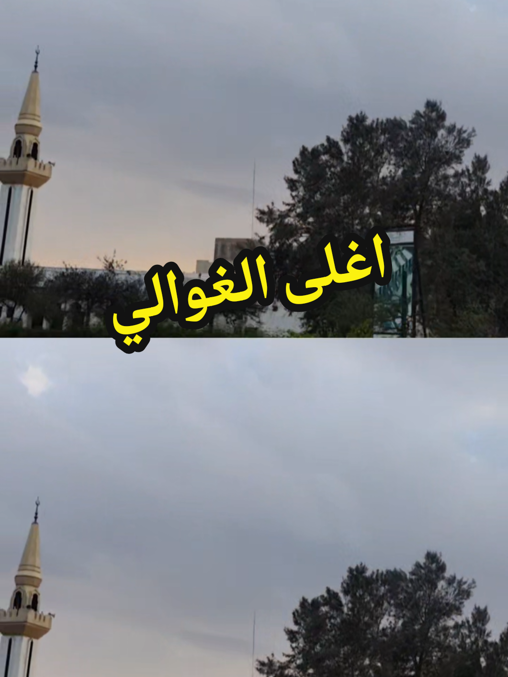 @احمد اليافعي