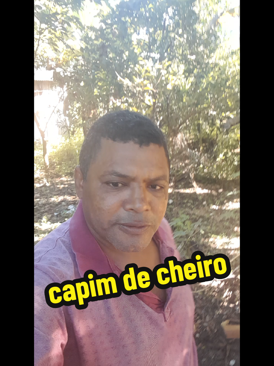 @Valmir viana u bom de mulher