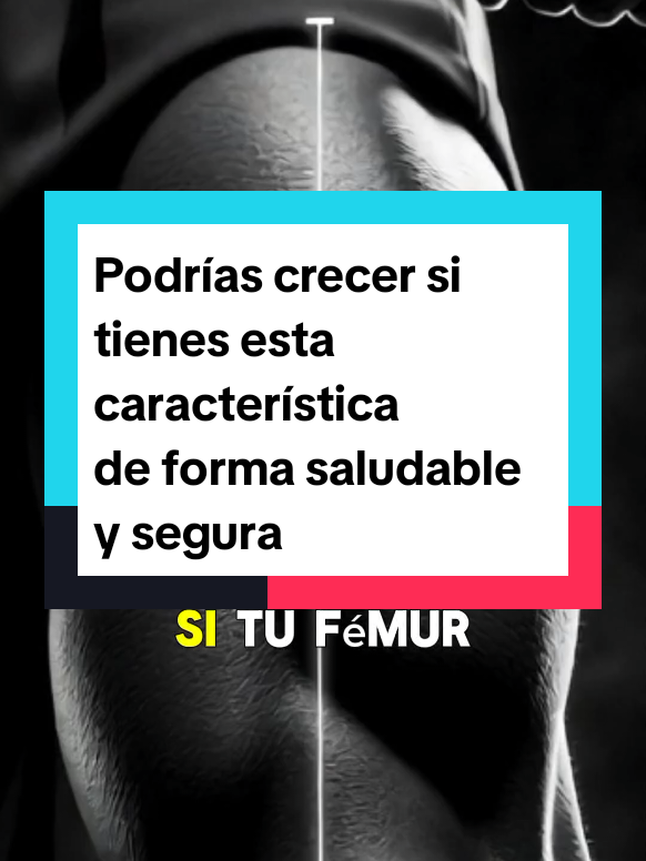 @MERINO