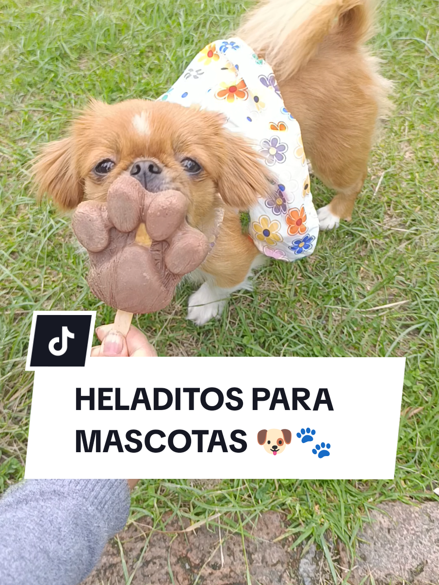 @Doggy Cream