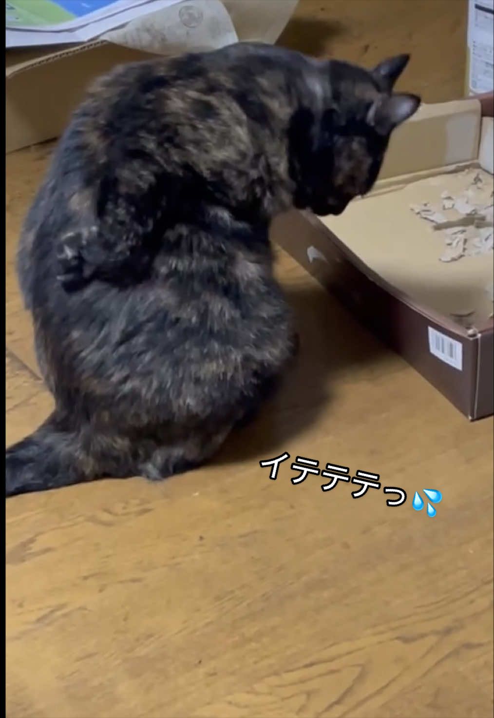 @聴々物語PROJECT