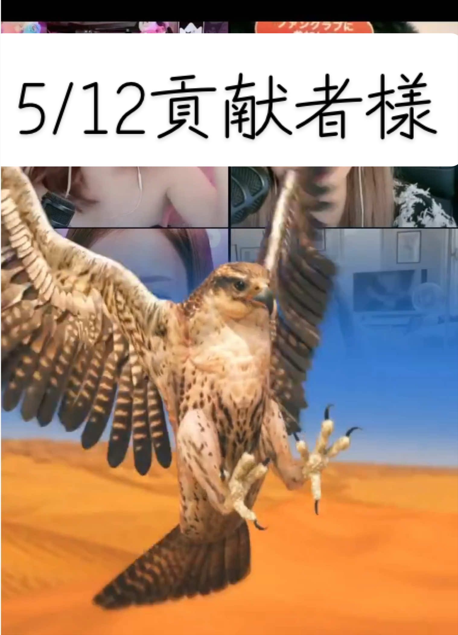 @ðãã£ã£ããã¡ãã³ð