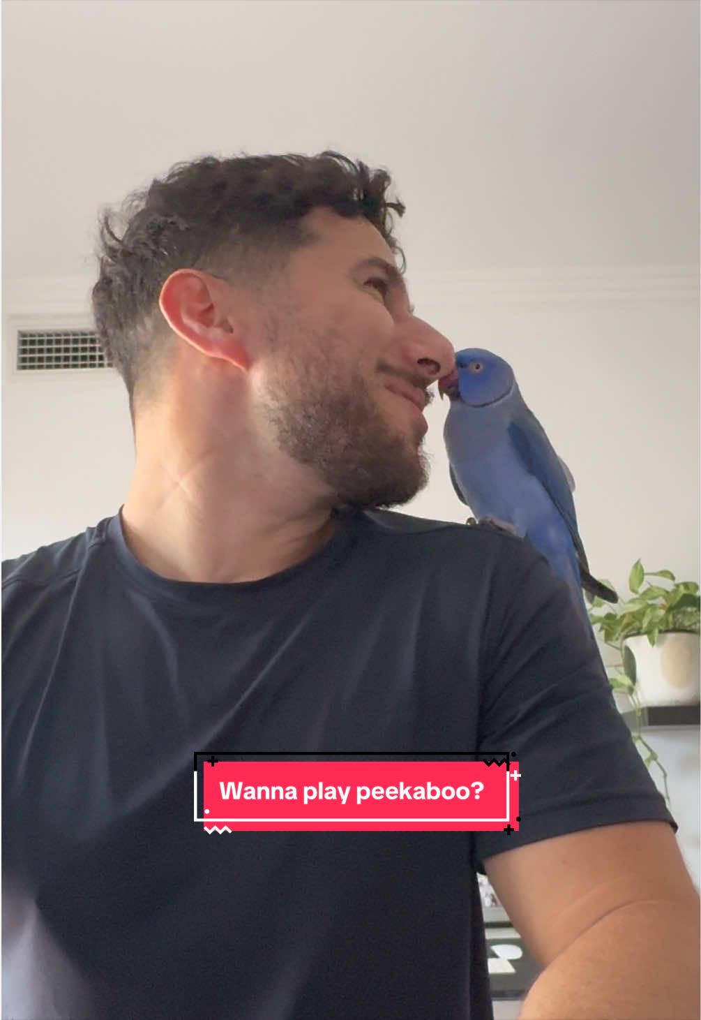 @Halloumi