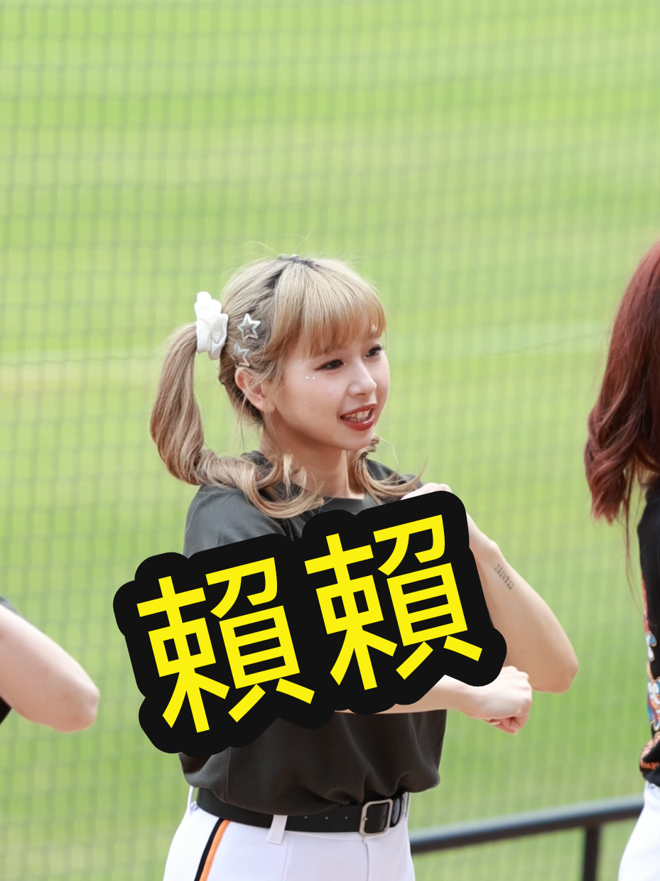 @海豚于翔