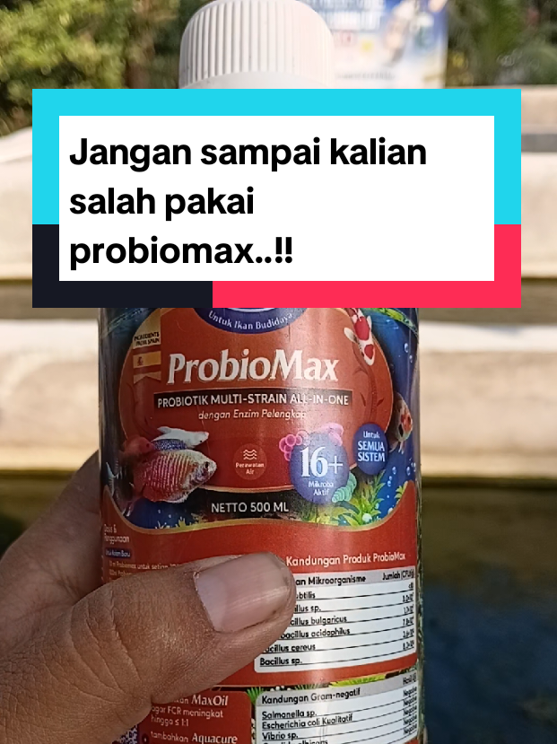 @Kang_Ewi