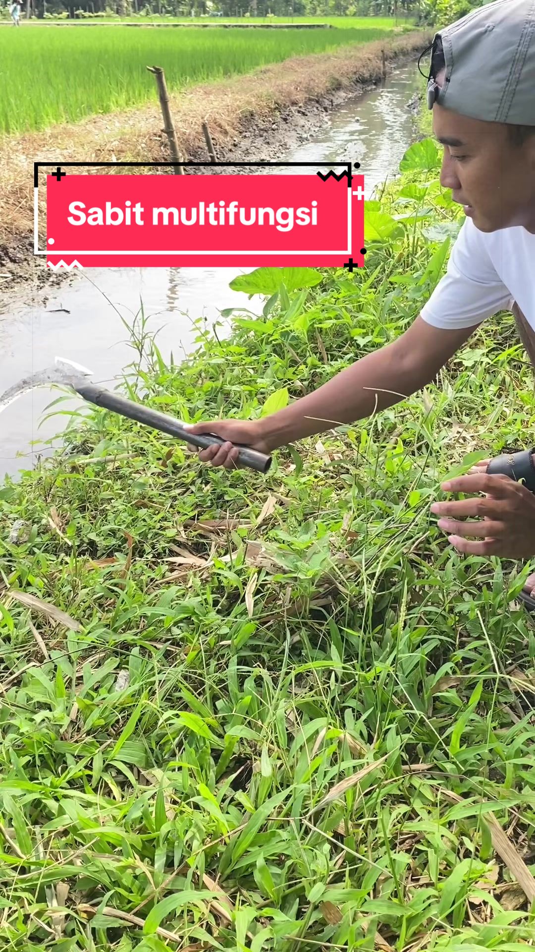 @Baberekomendasi