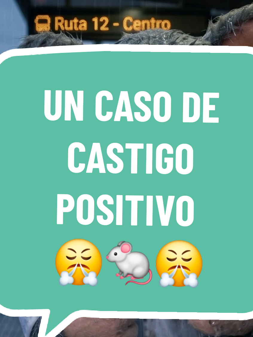 @Ratroll | Psicología 🐭