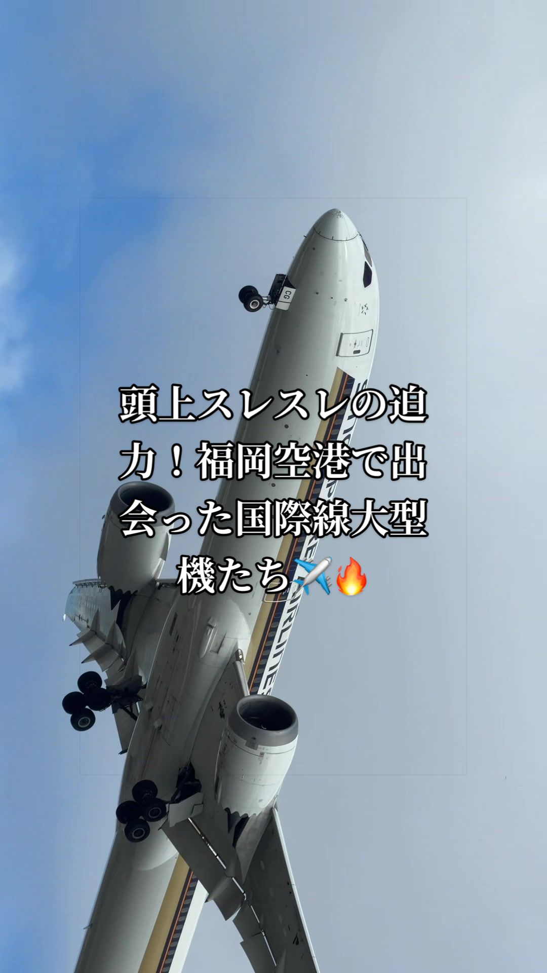 @✈️トト旦