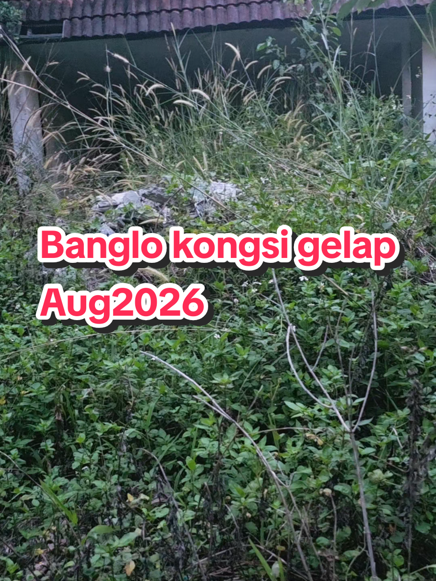 @šššøįµŹ°įµį¶Ź°įµįµįµįµŹ³