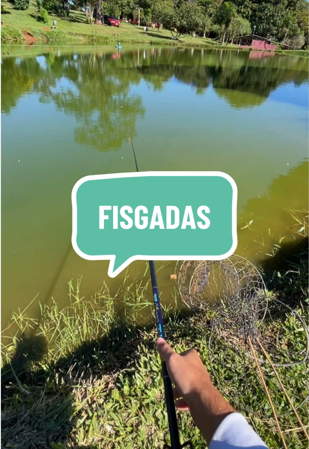 @diogopescarias