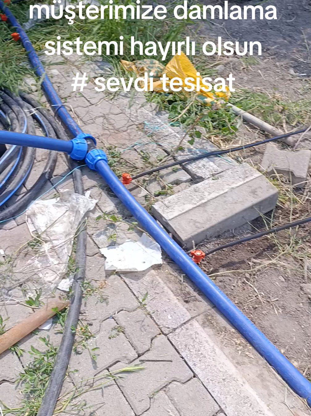 @Lokman Sevdi
