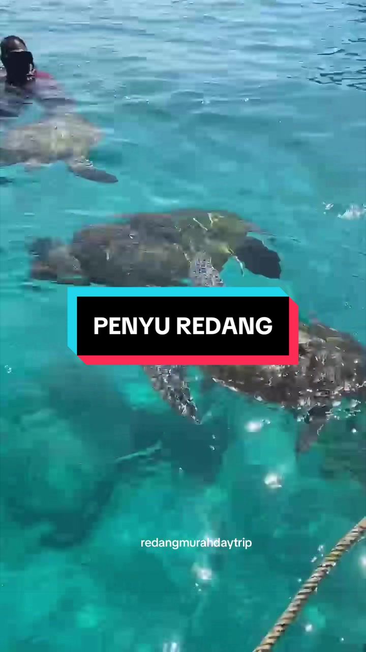 @raapakejpulauganu🤿