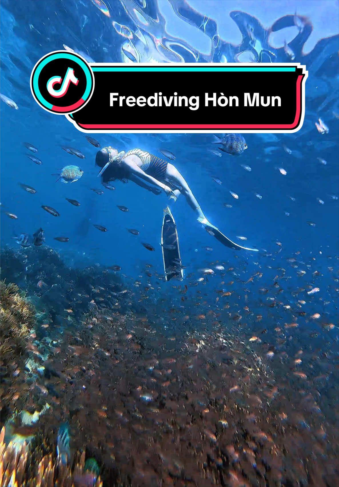 @Love Freediving Nha Trang