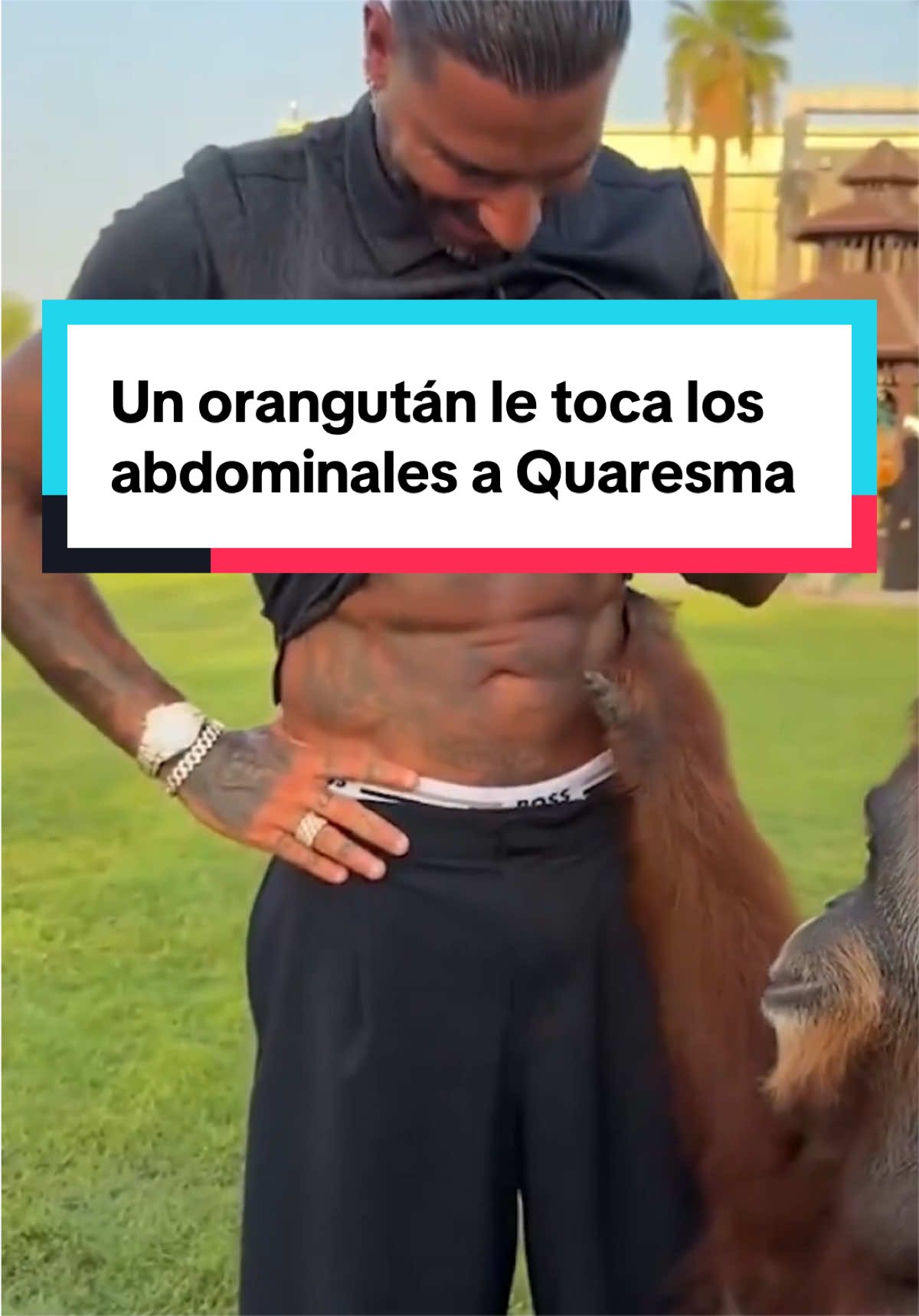 @MARCA México 🇲🇽