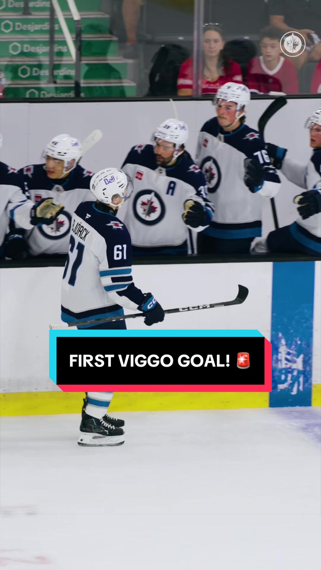 @Winnipeg Jets