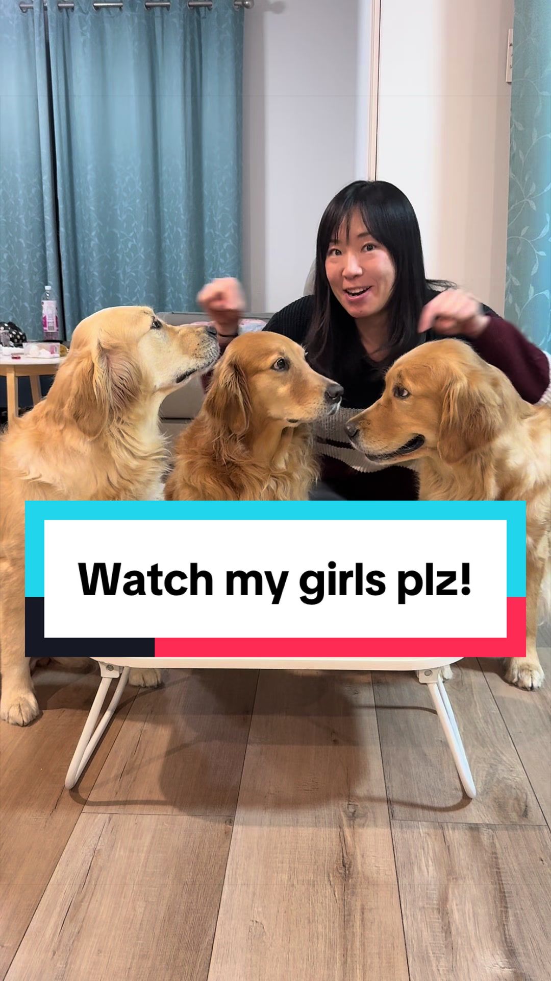 @3goldenretriever