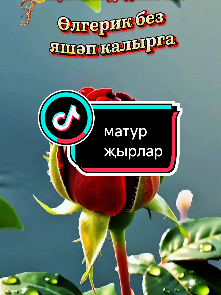 @💕☪татвидео открытки☪︎ 💕