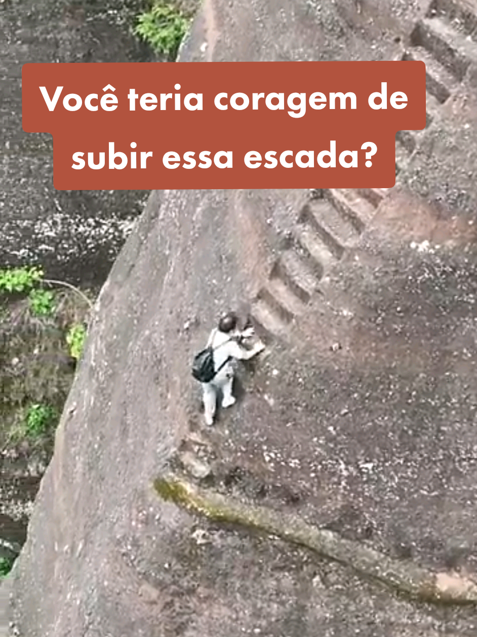 @ASSINATURA ALIEN