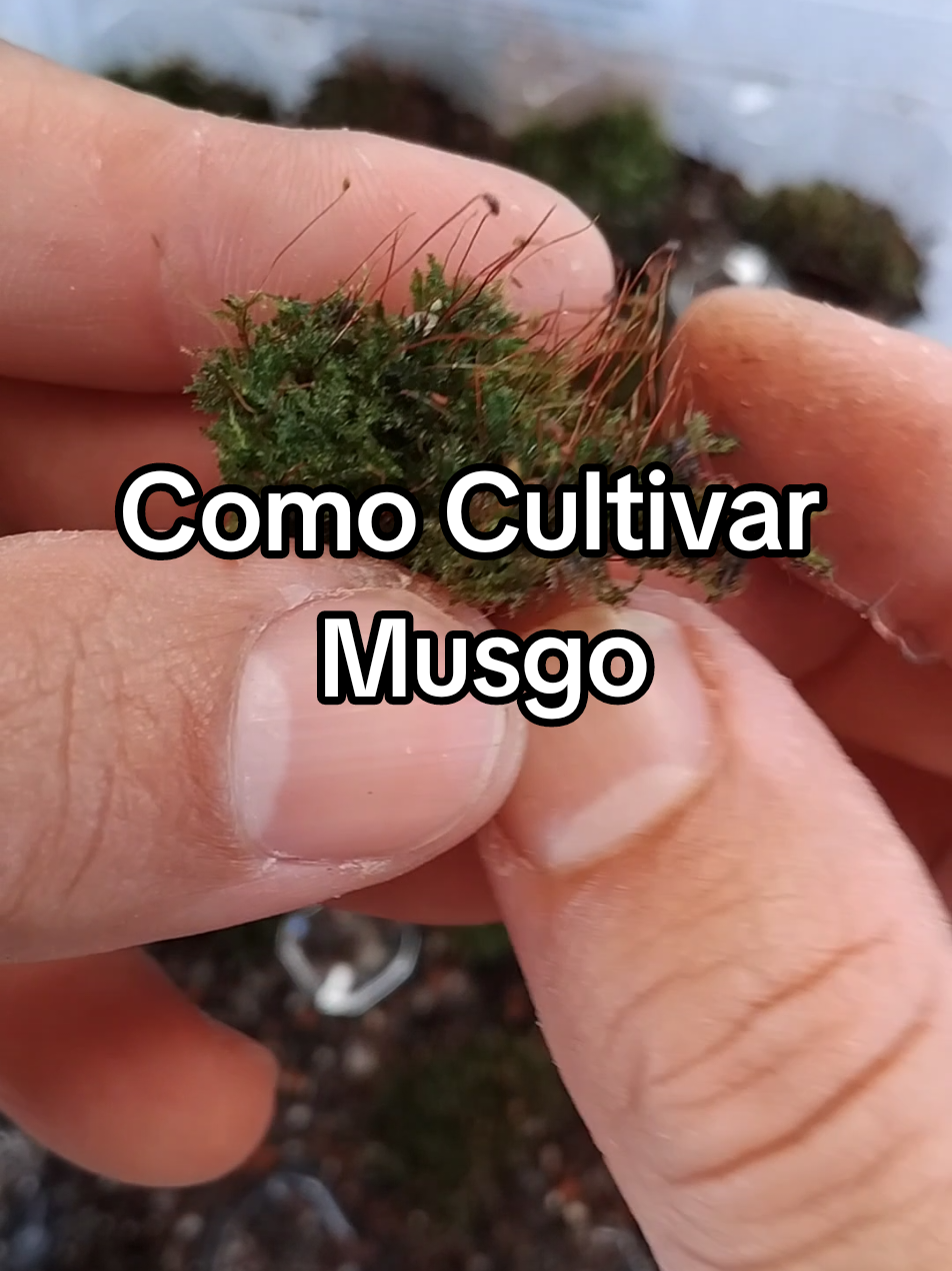 @EcoaBio - Educa&ccedil;&atilde;o Ambiental