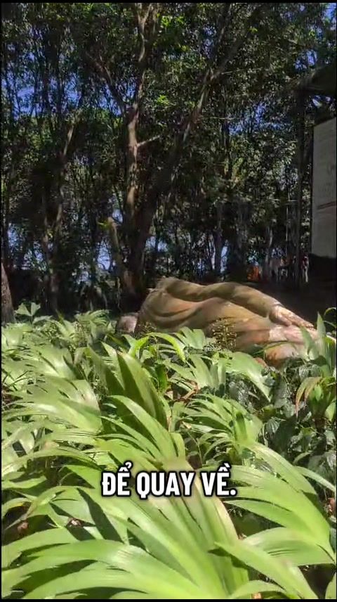 @TK Bảo &Acirc;n