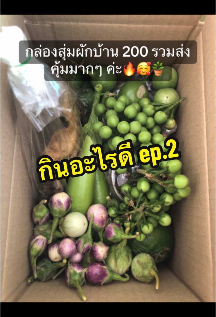 @🌿เจ๊ต่าย ขายผักป่าผักบ้าน🌿