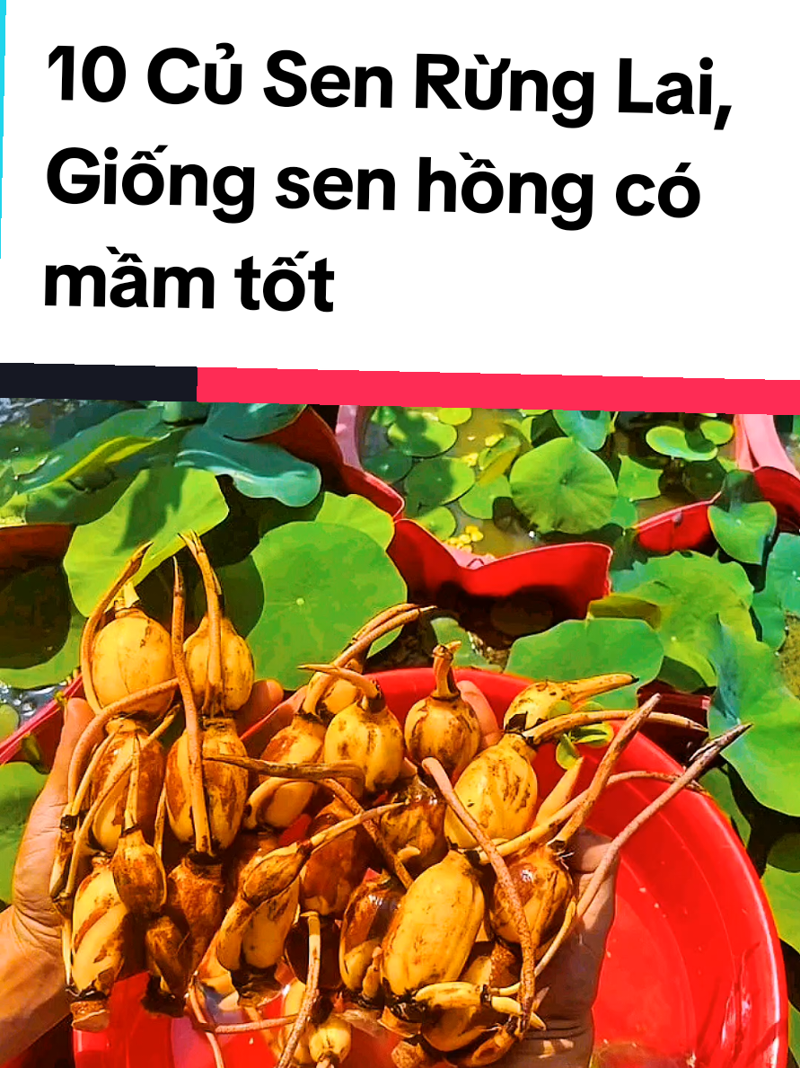 @@1Huyền Nguyễn