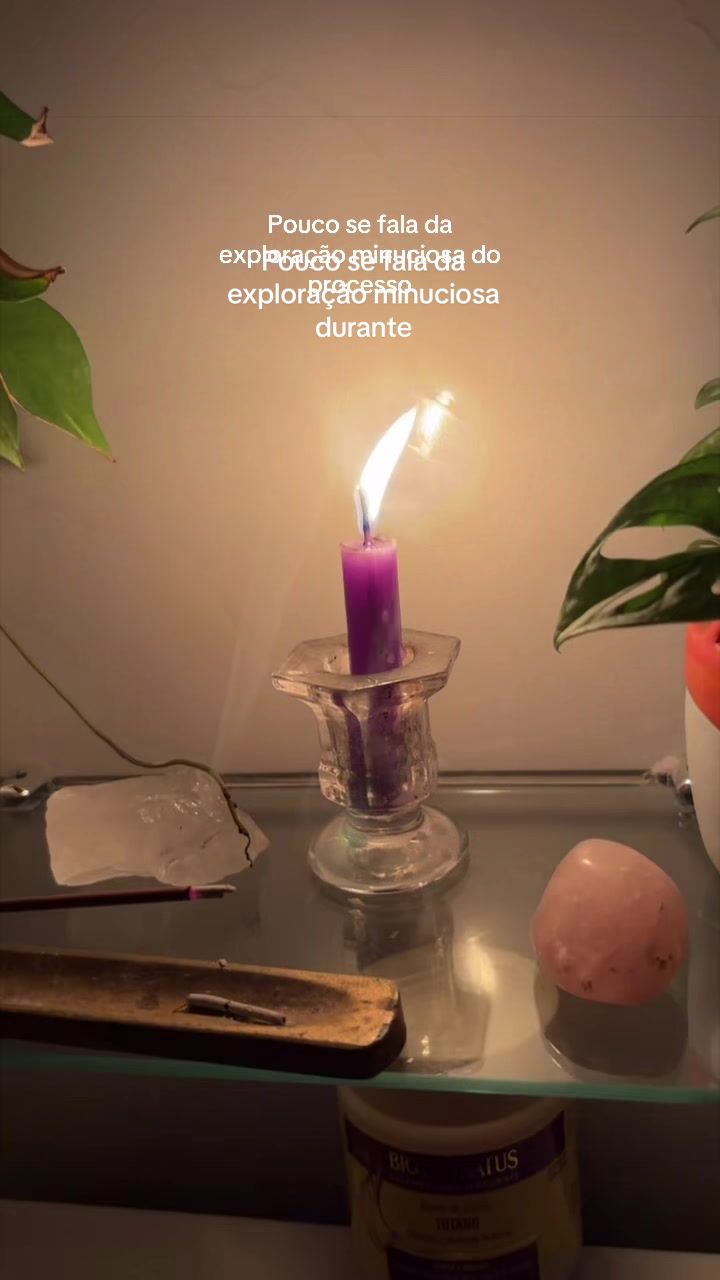 @Elisa Farias