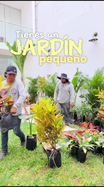 @VIVERO LAS G🦁RDENIAS|TRUJILLO