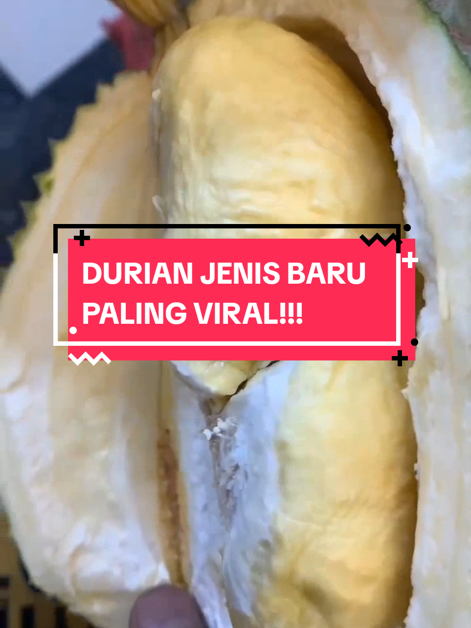 @duriankenzo