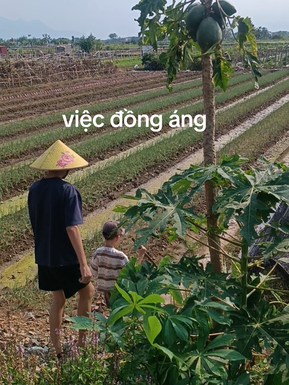 @Tổng Sỉ Hu&acirc;n Hường Thổ Tang