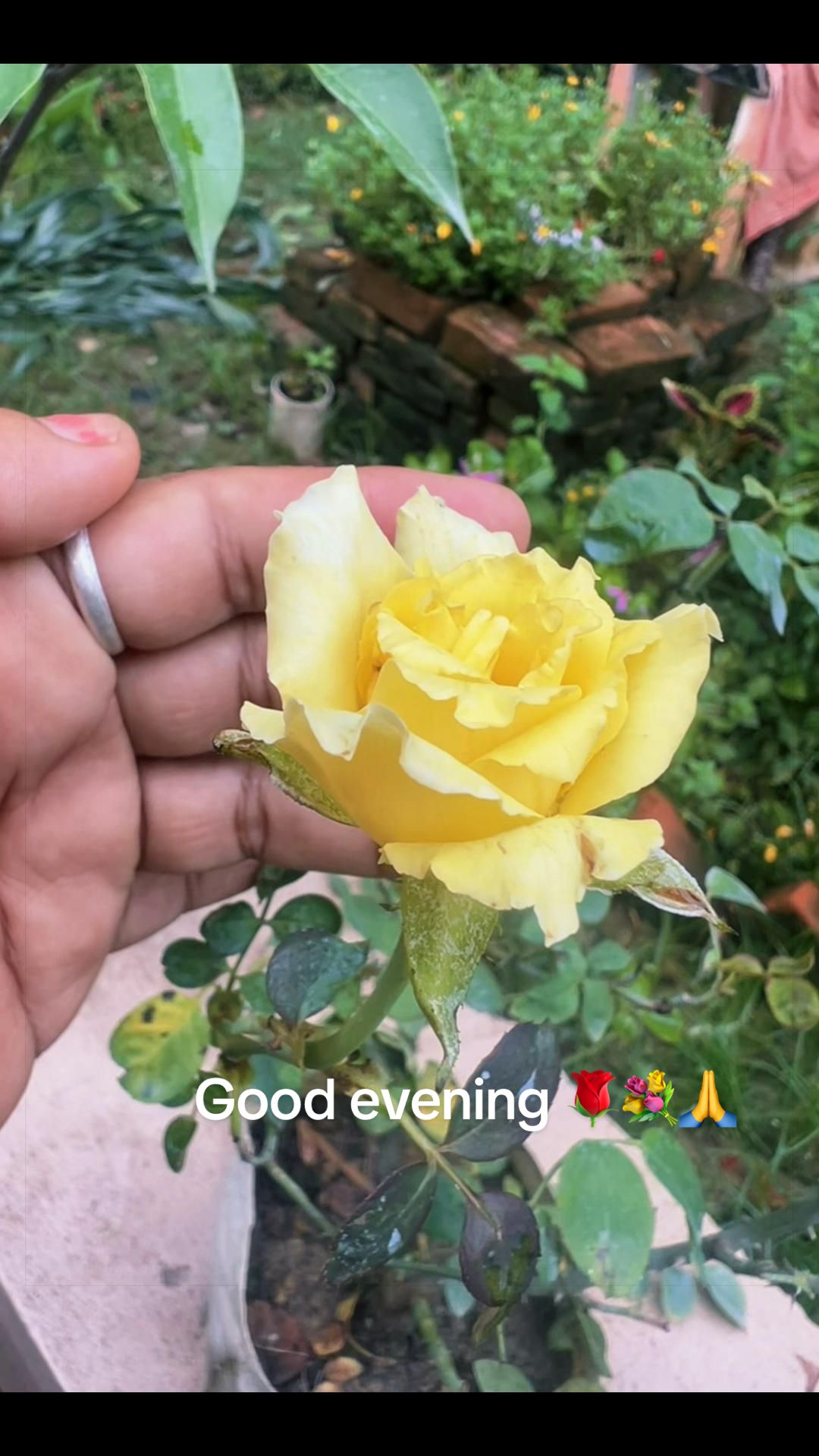 @जय शम्भु🌿🙏🏻🇳🇵Gita Chettri