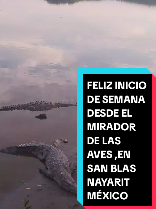 @Eliseo López