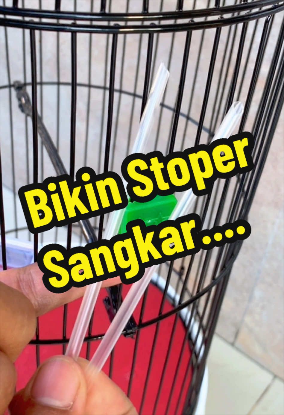 @GeDang Manuk