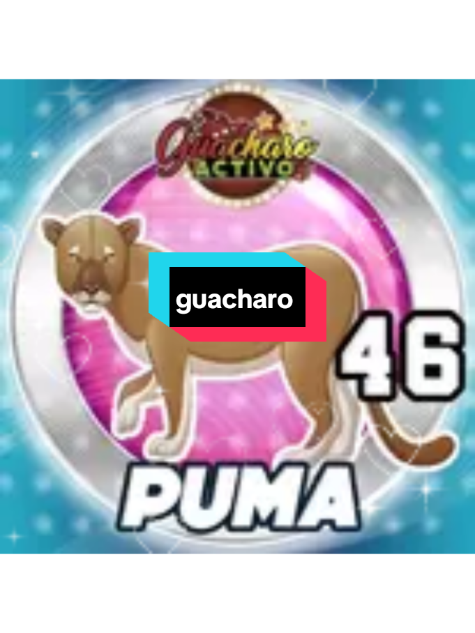 @el Gocho