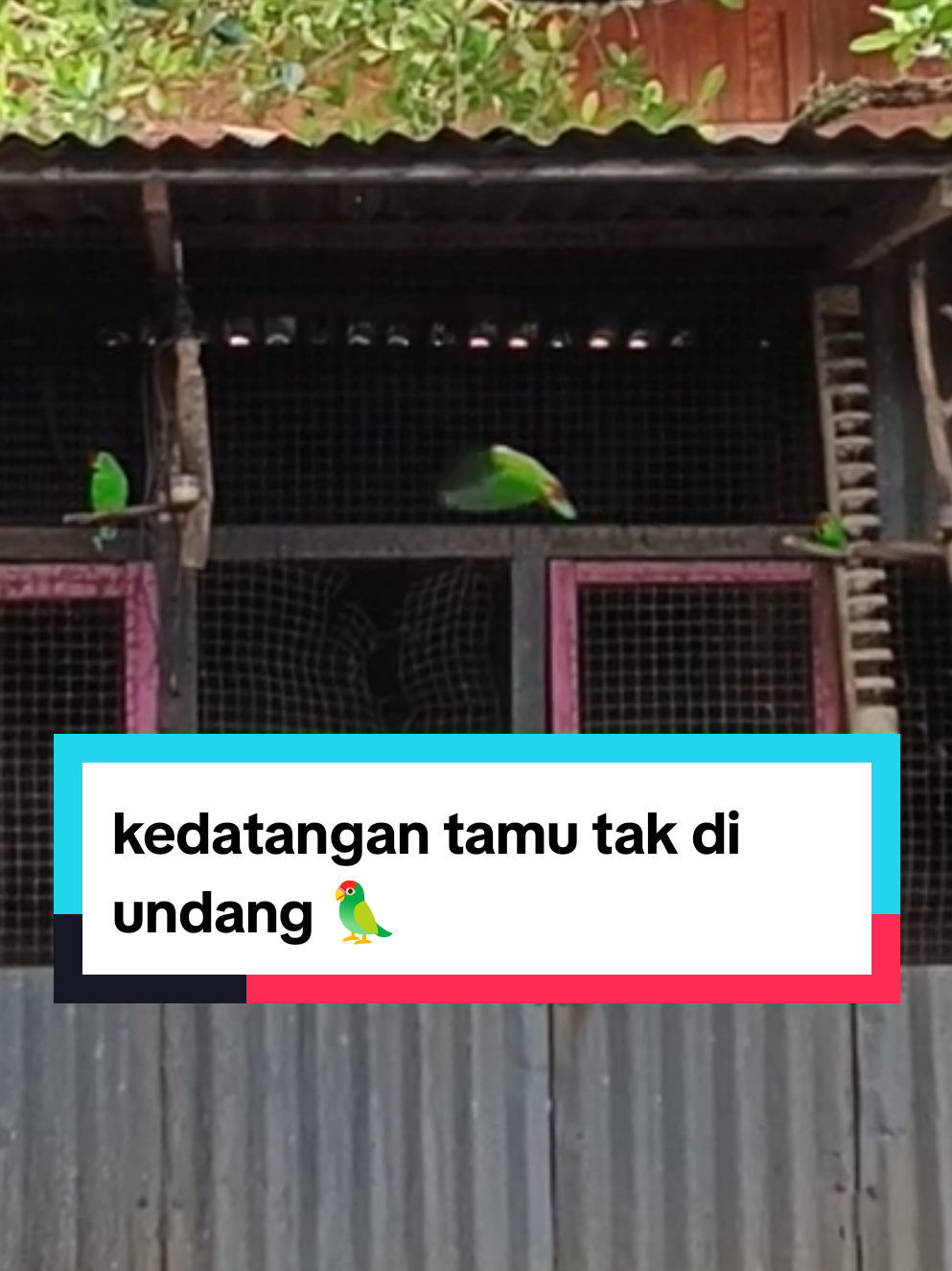 @PJr. EXPLORE