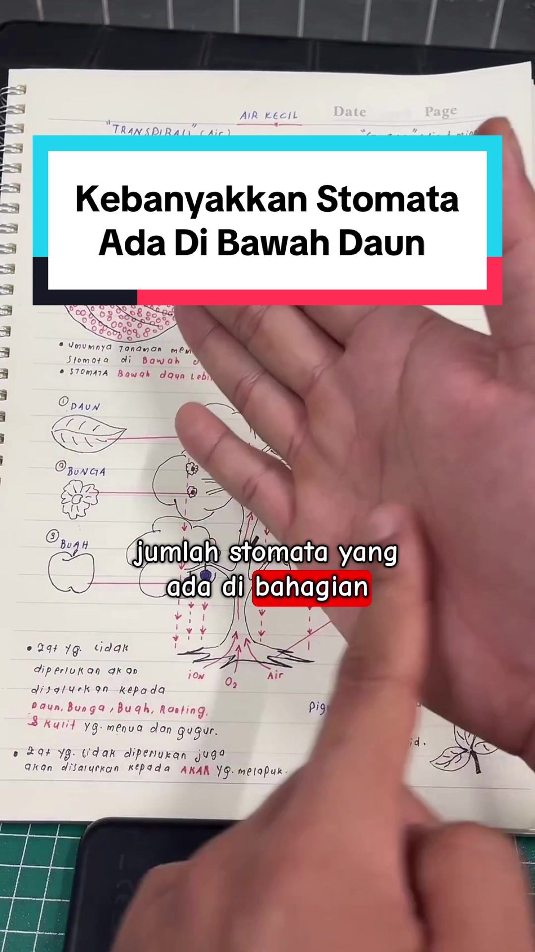 @Izat Aizie