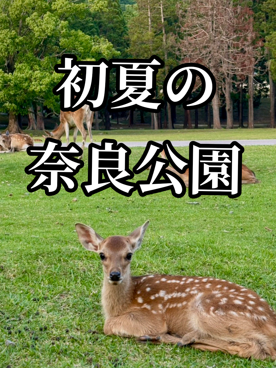 @伊藤美月