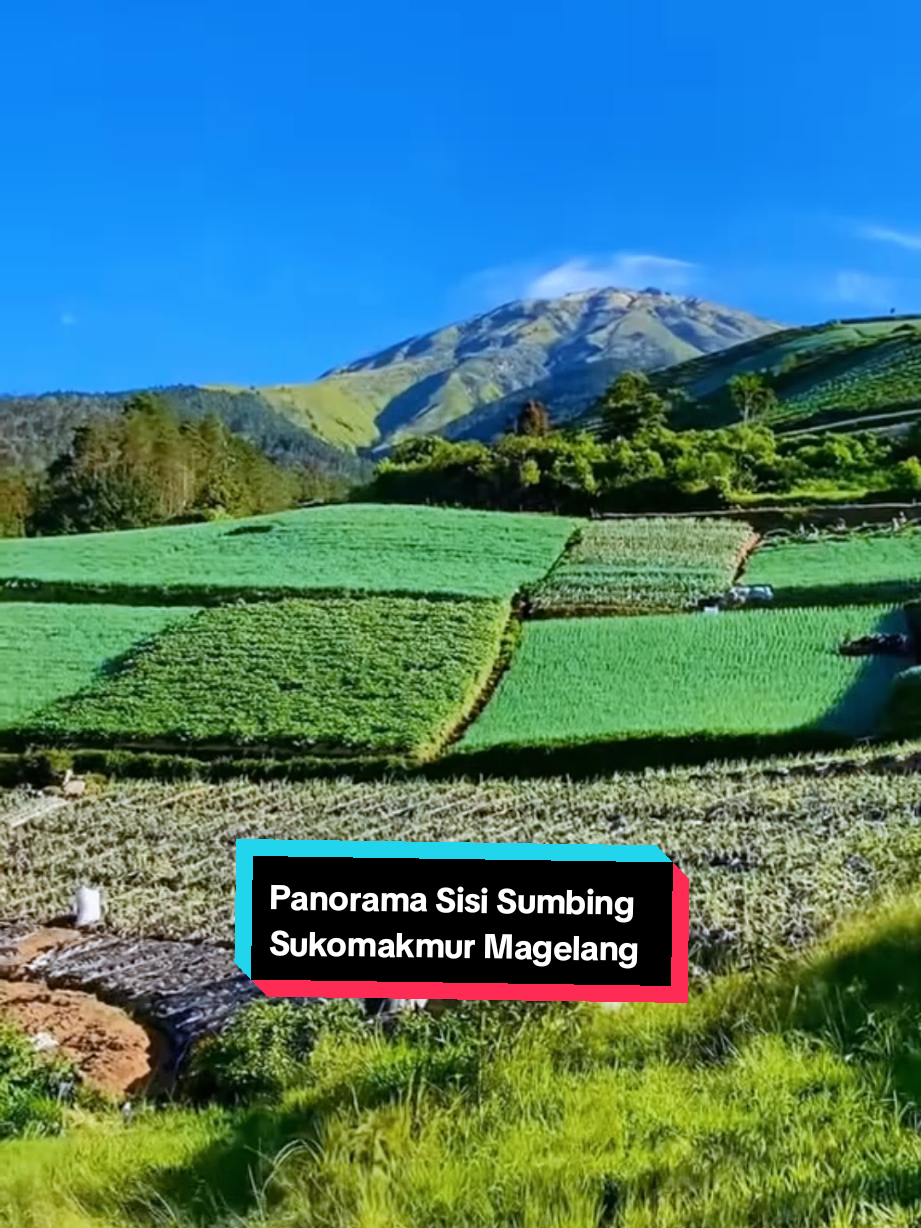 @SISI_SUMBING