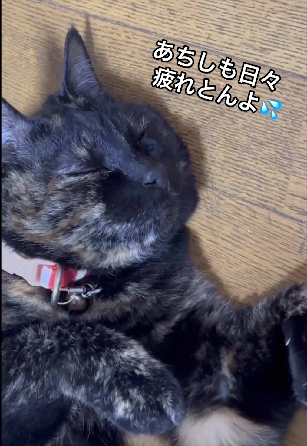 @聴々物語PROJECT