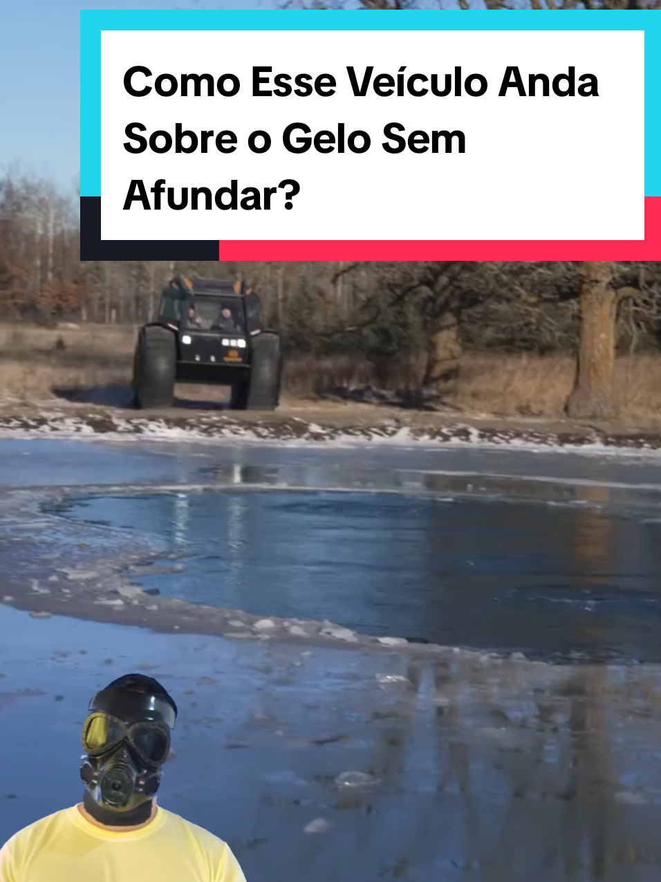 @Mundo da Curiosidades