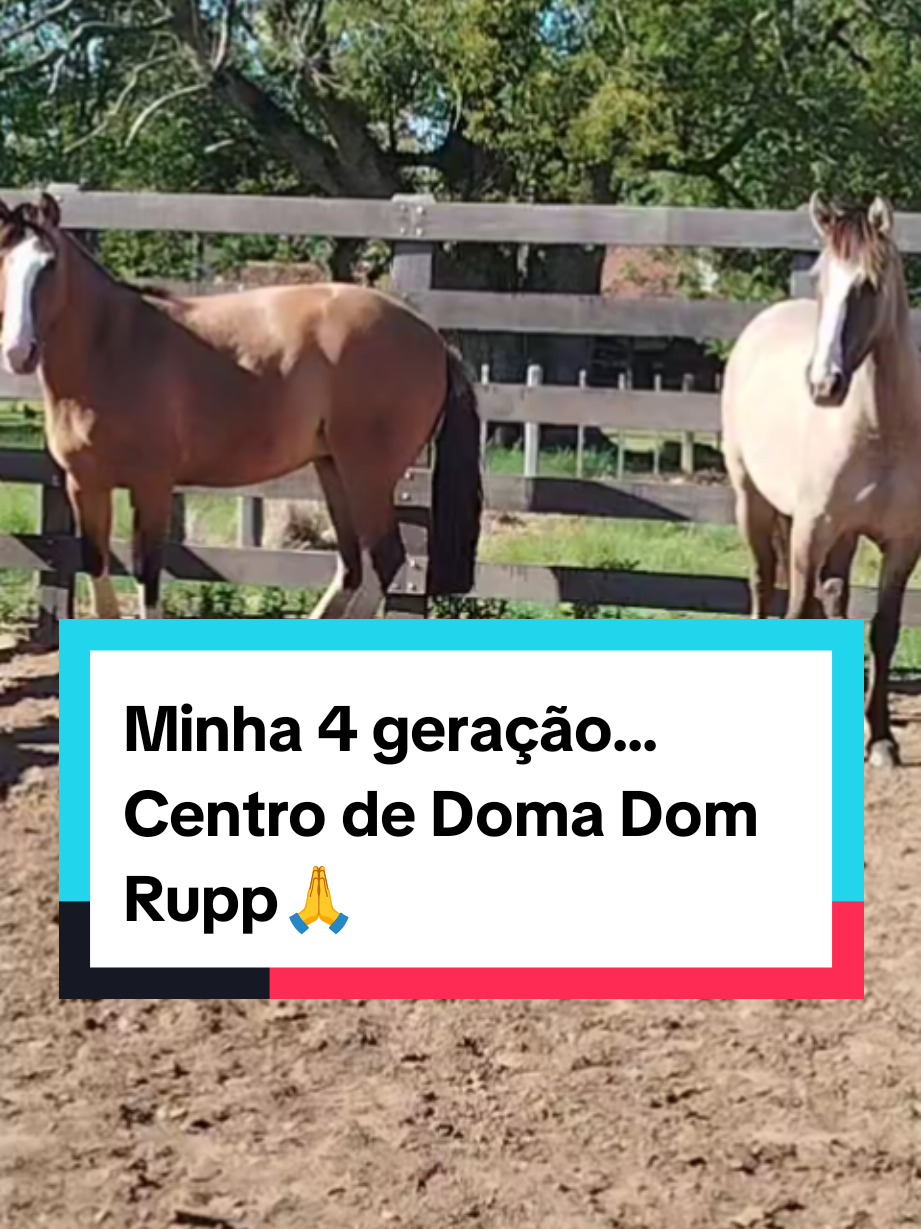 @João Antônio Rupp