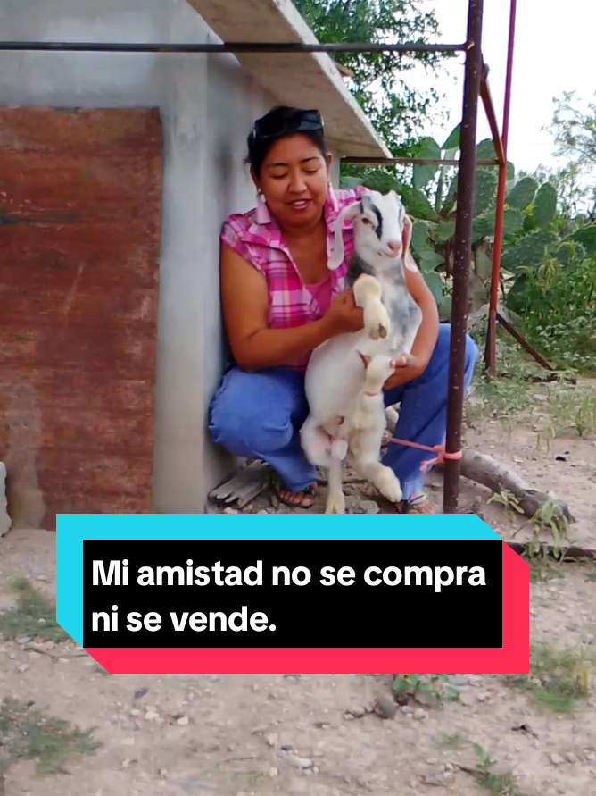 @La profe chida