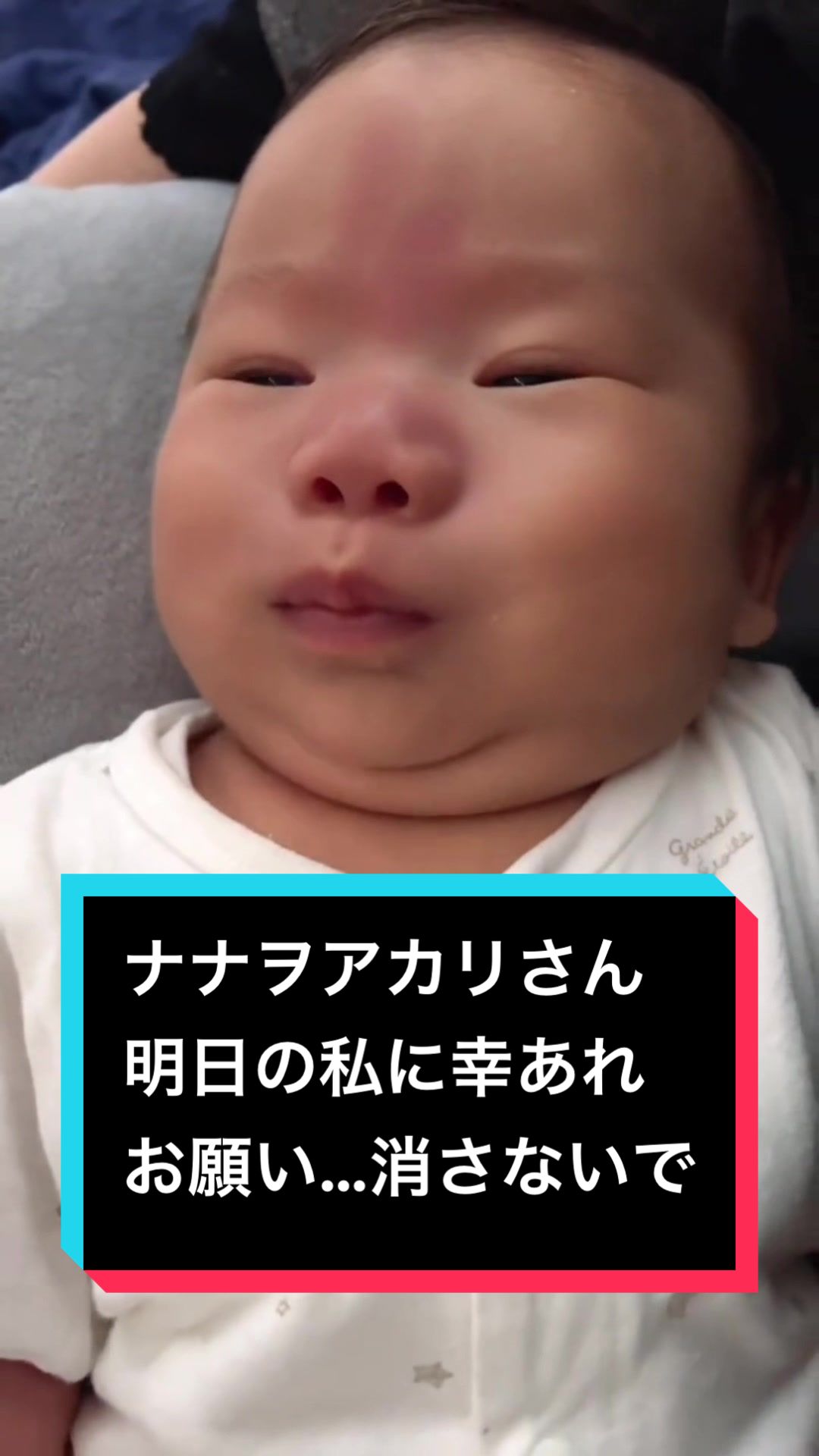 @とらままんち