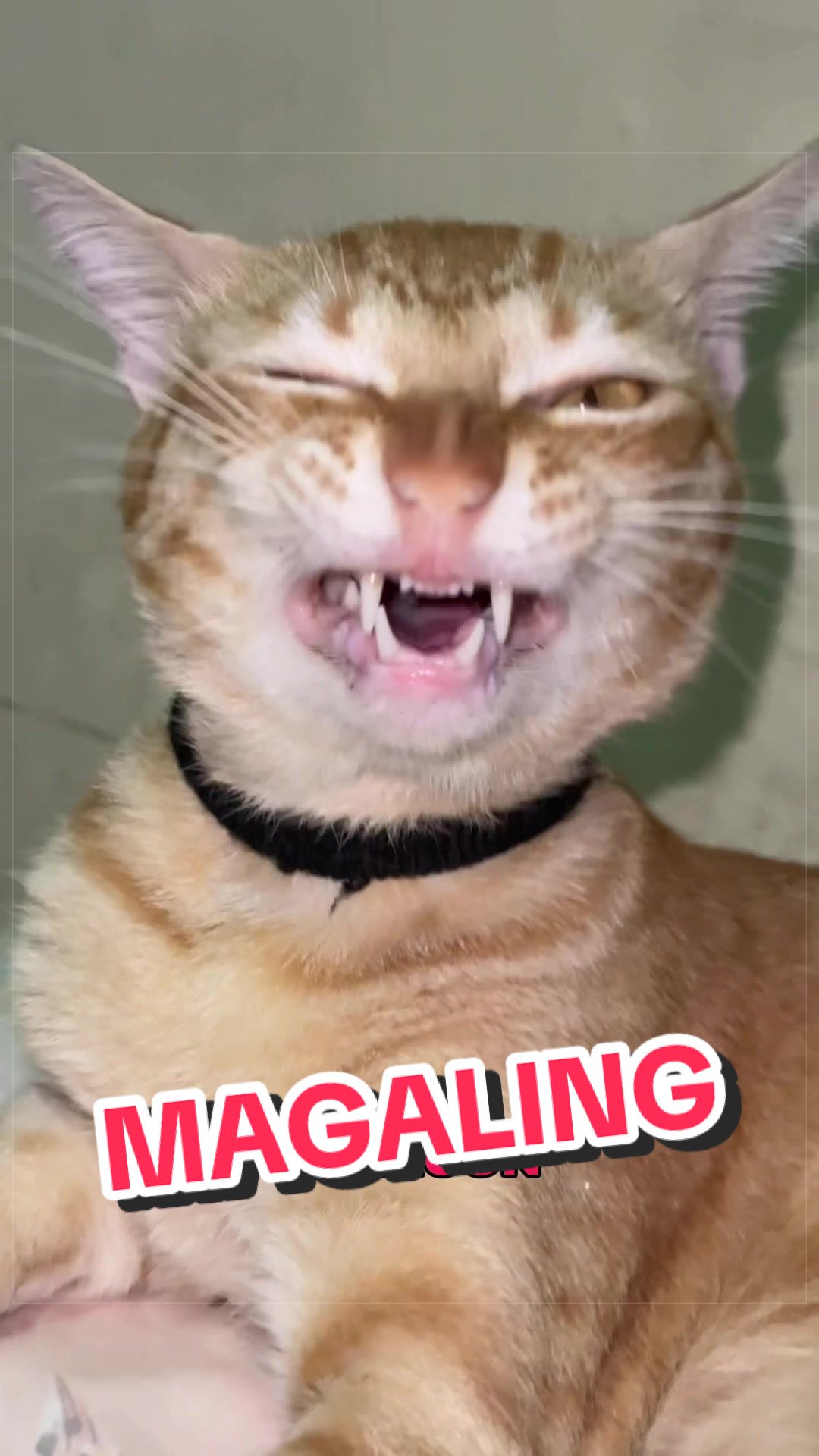 @Leet