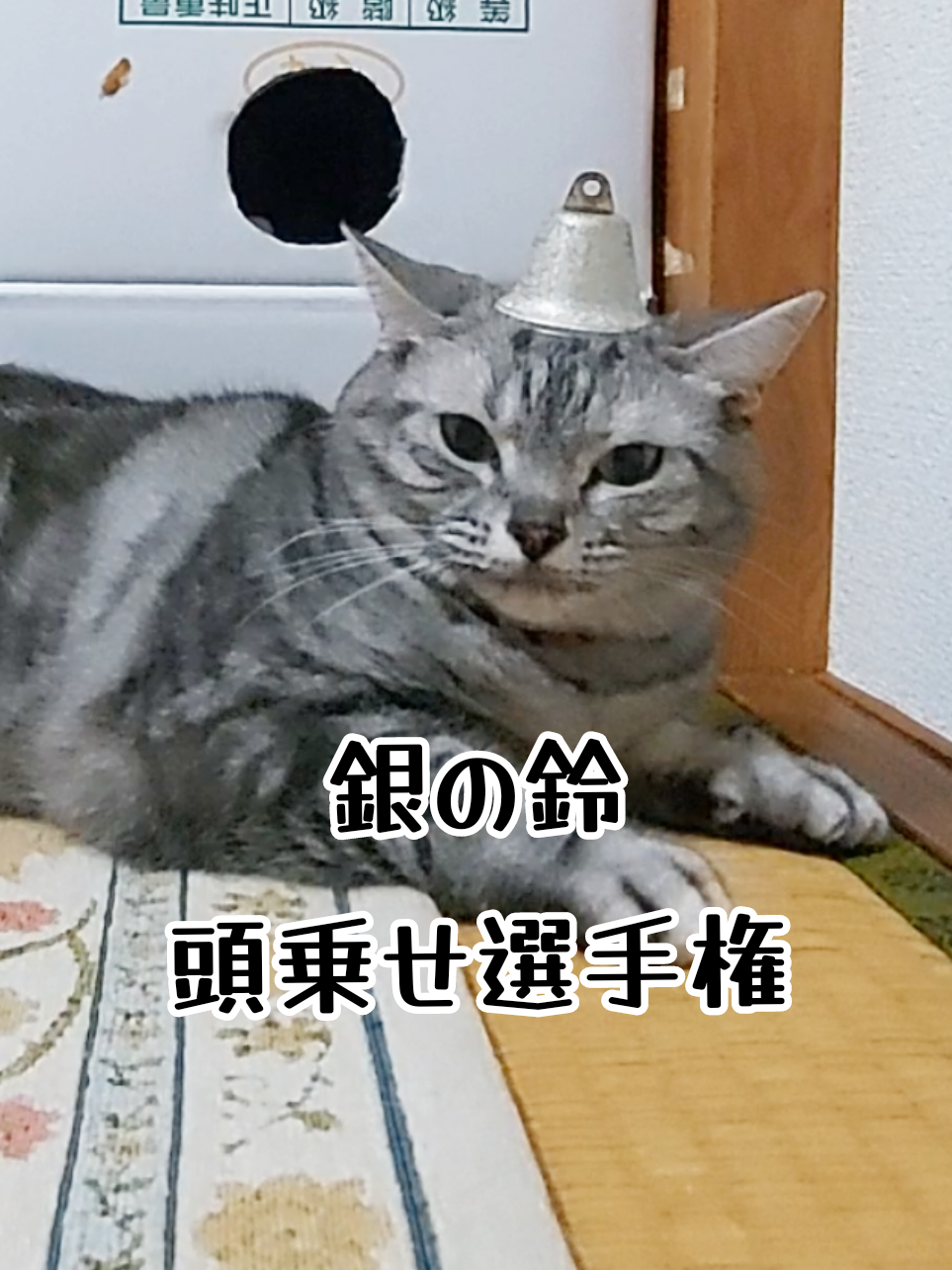 @ジュリちゃん