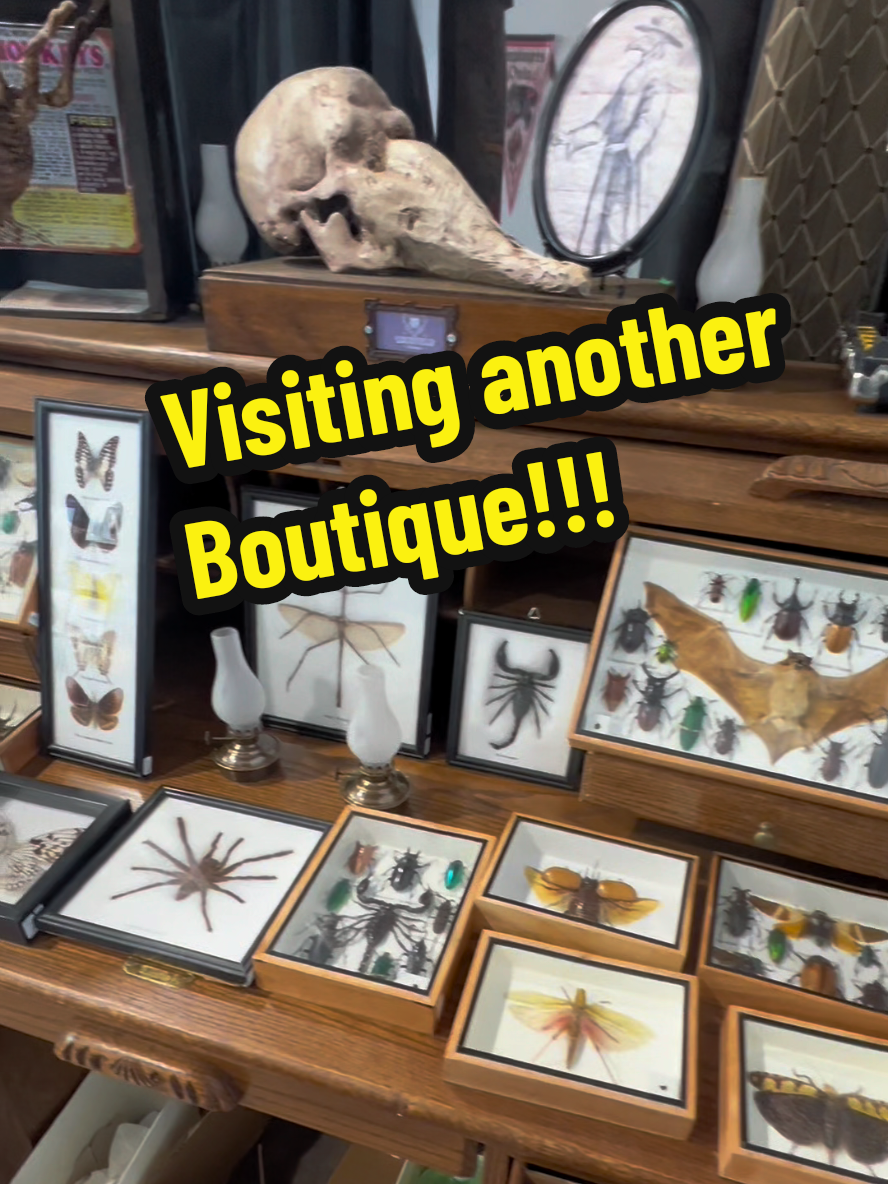@Goth Shop MTL
