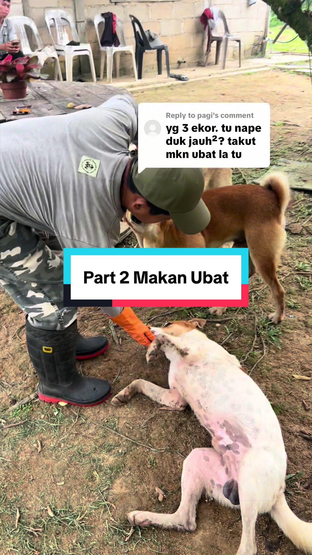 @Dusun Cikgu Mail