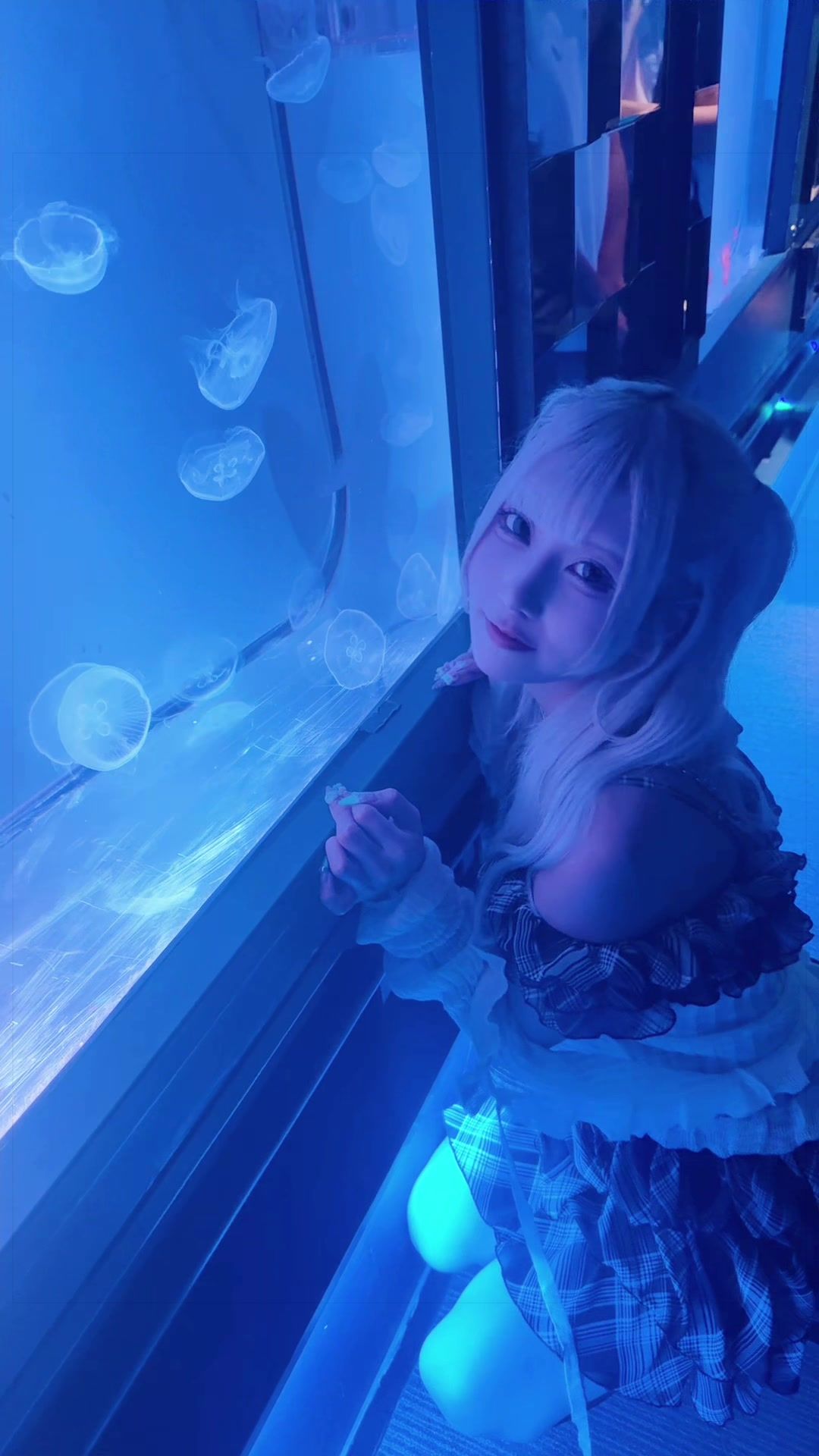 @とうふめんたる
